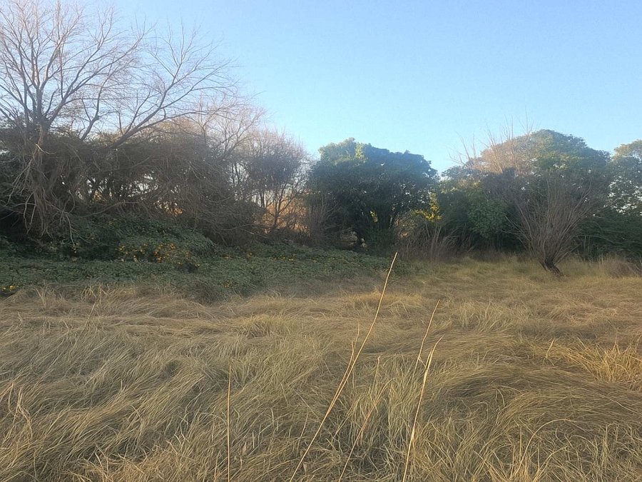 0 Bedroom Property for Sale in Ladybrand Free State